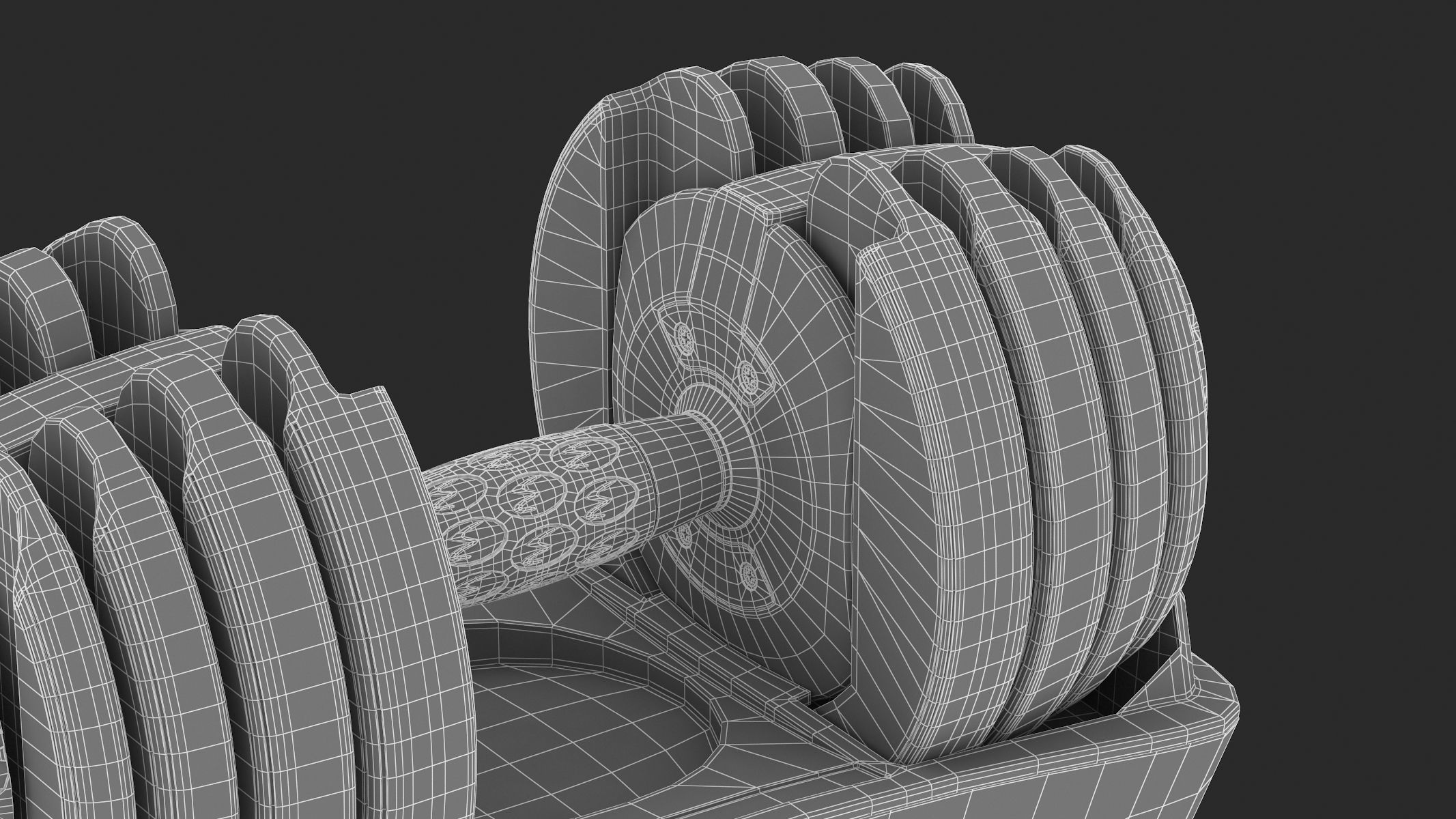 Bowflex SelectTech 552 Adjustable Dumbbells 3D model_15