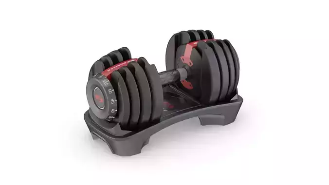 Bowflex SelectTech 552 Adjustable Dumbbells