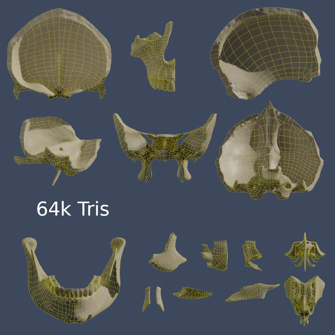 Human Skull - Mid Poly and High Poly Low-poly 3D model_17
