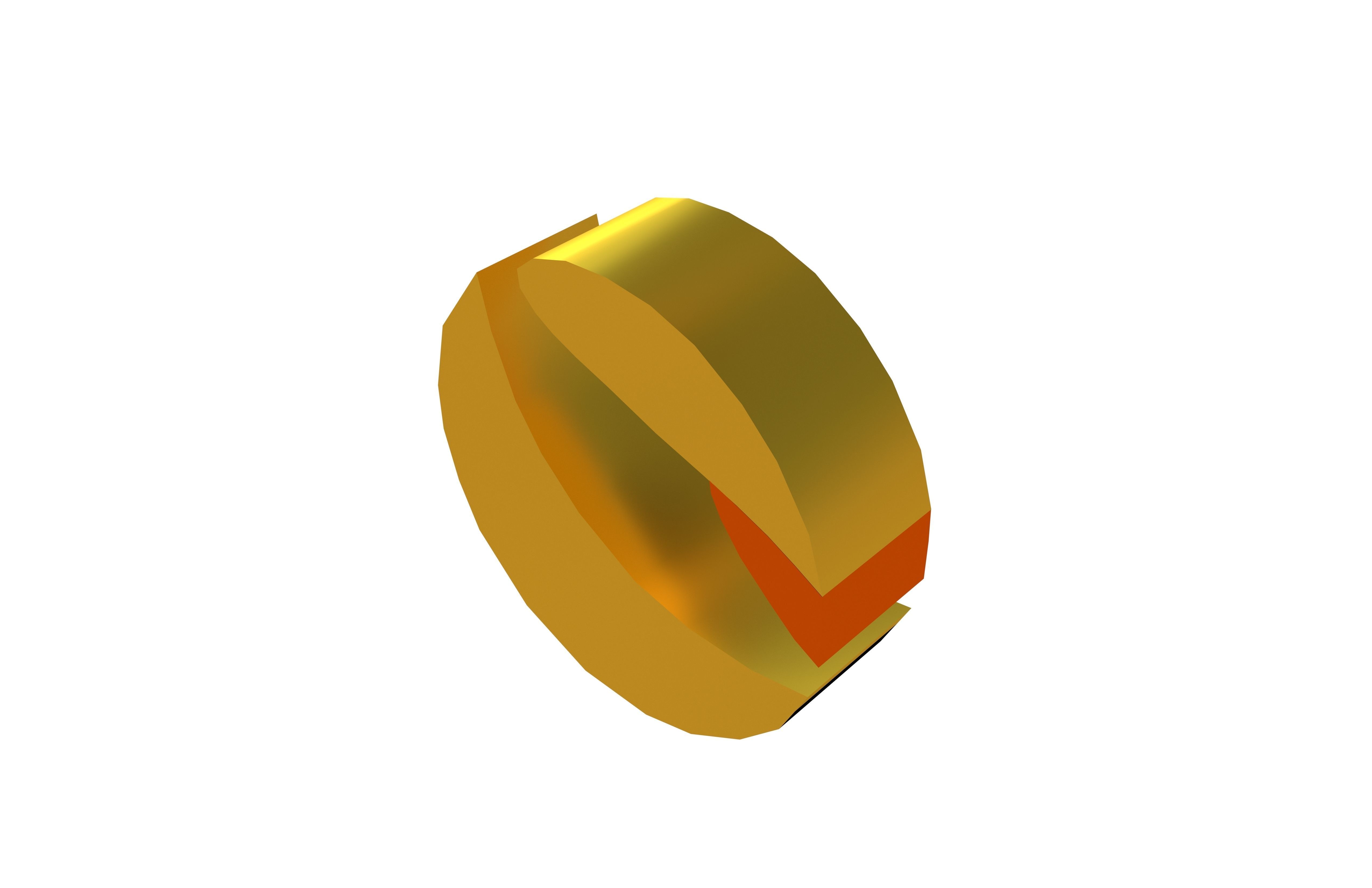 Terra Coin v1 003 Low-poly 3D model_2