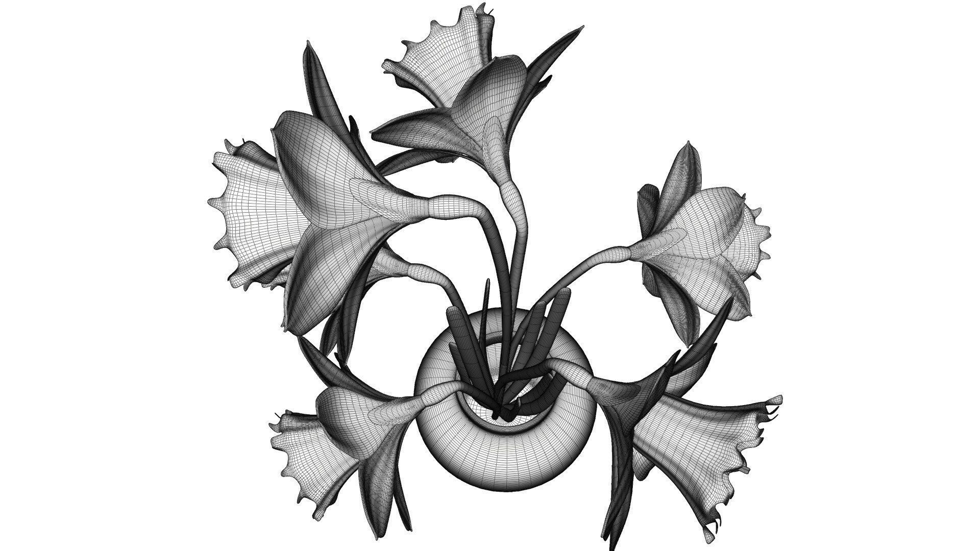 Daffodils in vase 3D model_18