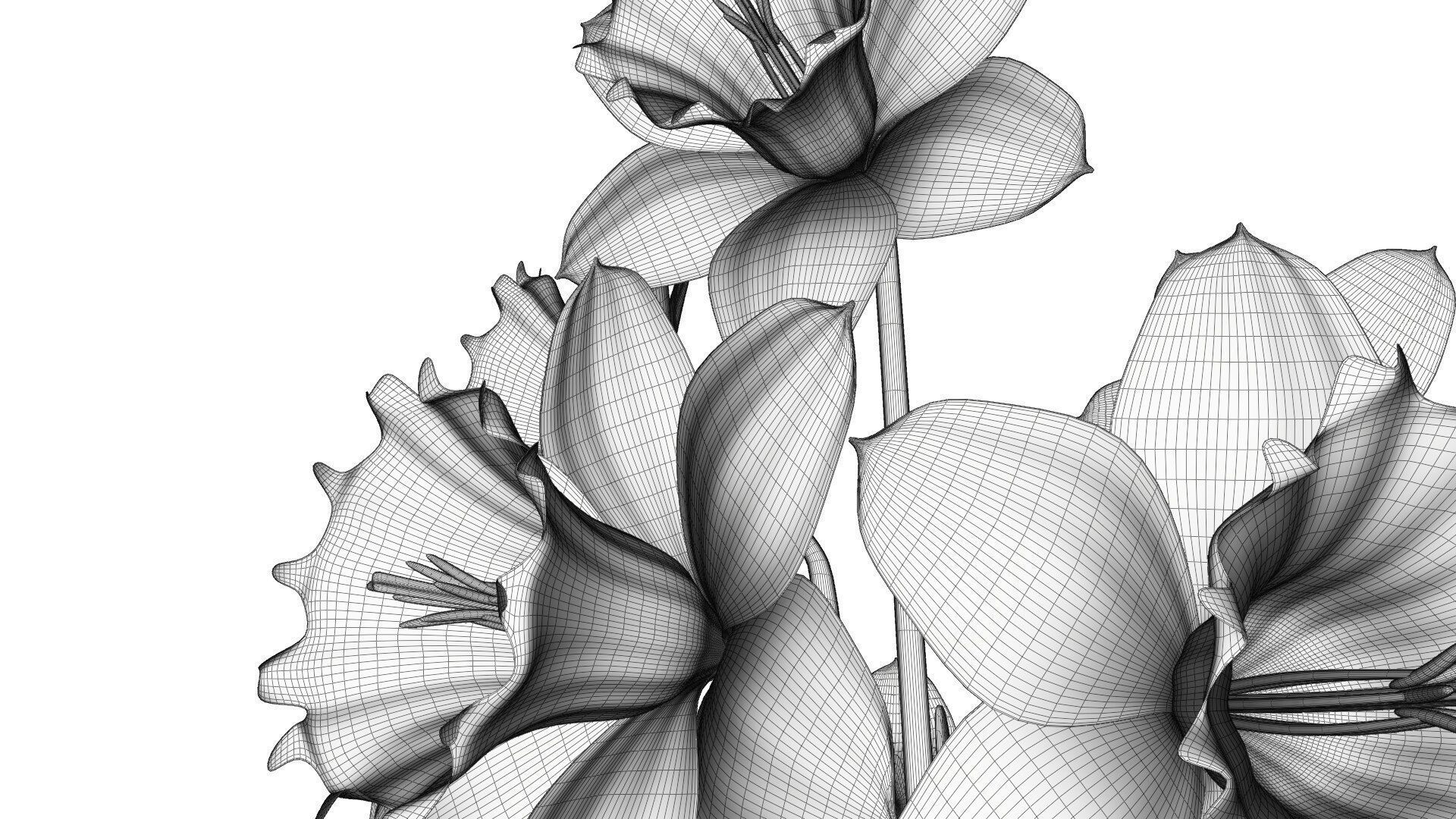 Daffodils in vase 3D model_14