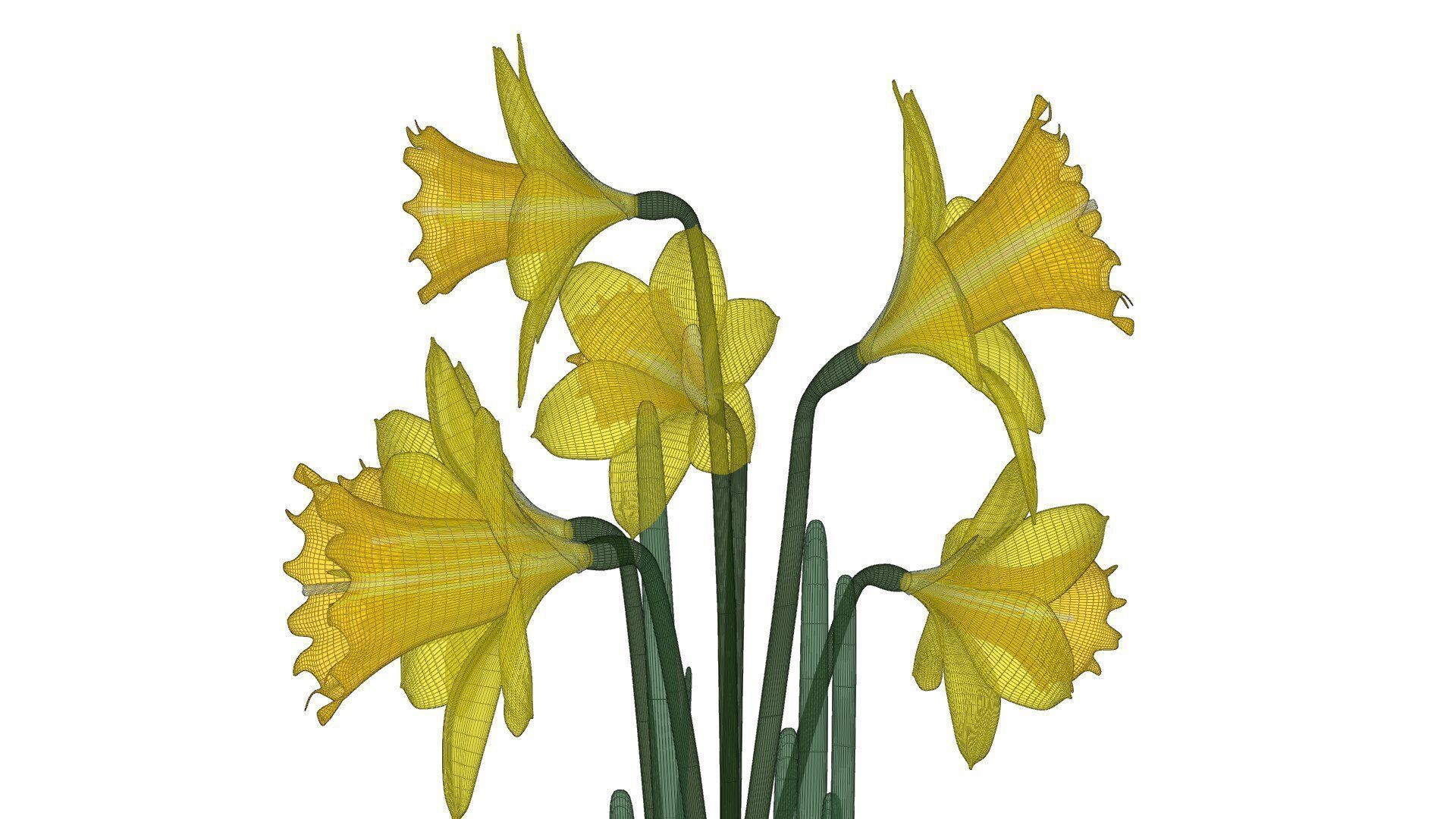 Daffodils in vase 3D model_20