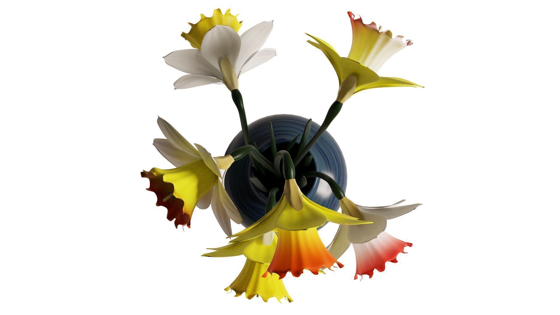 Daffodils in vase 3D model_6