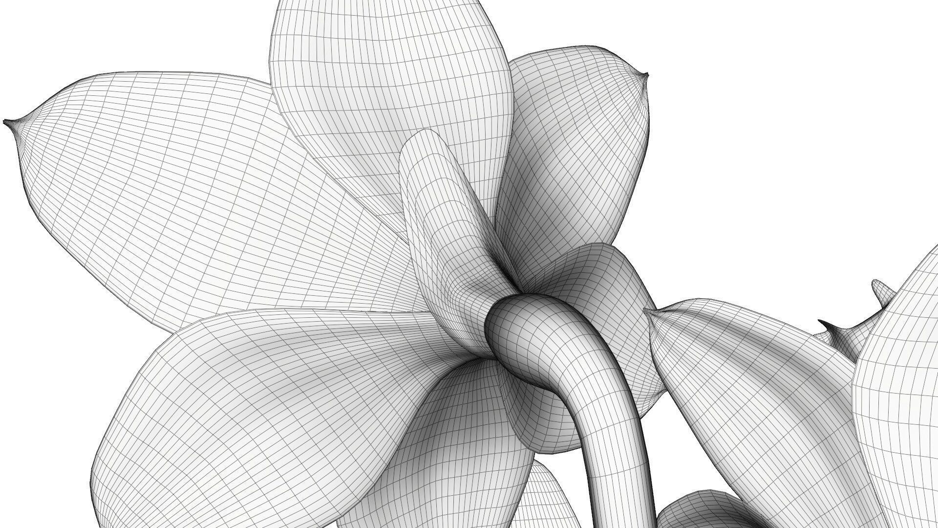 Daffodils in vase 3D model_17