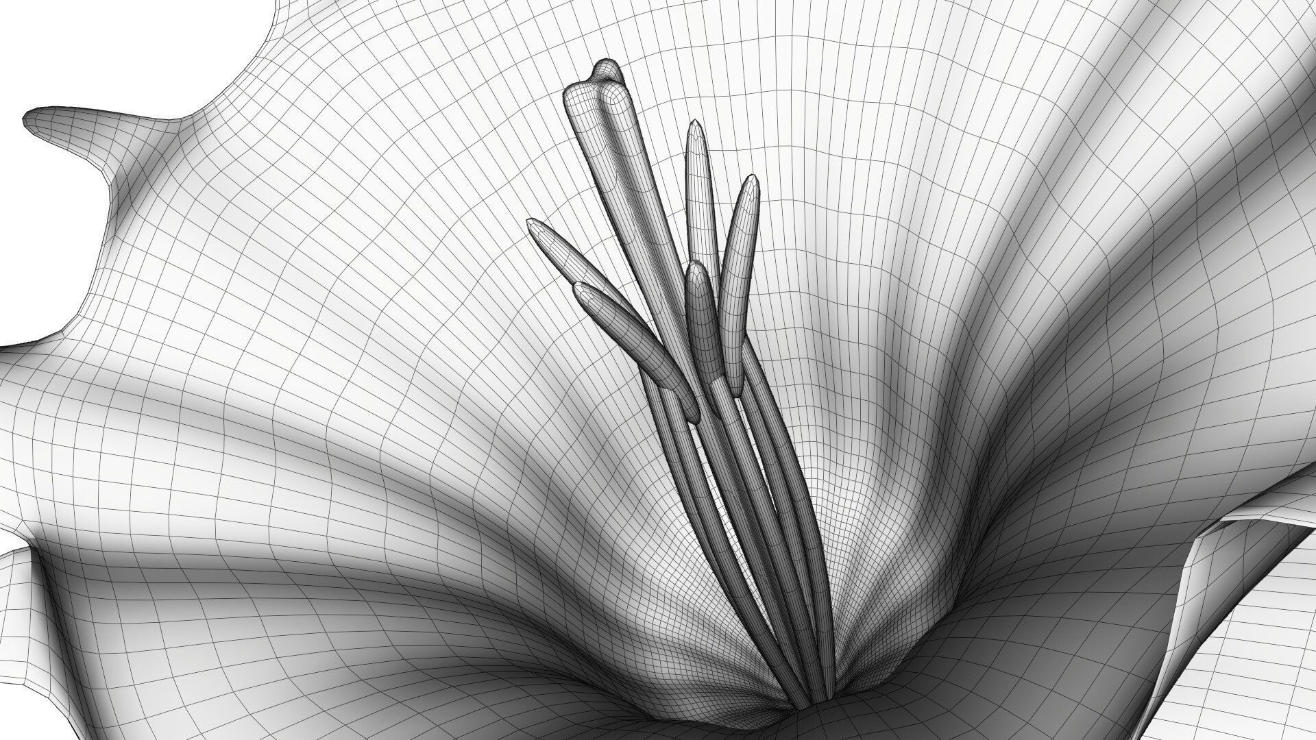 Daffodils in vase 3D model_15