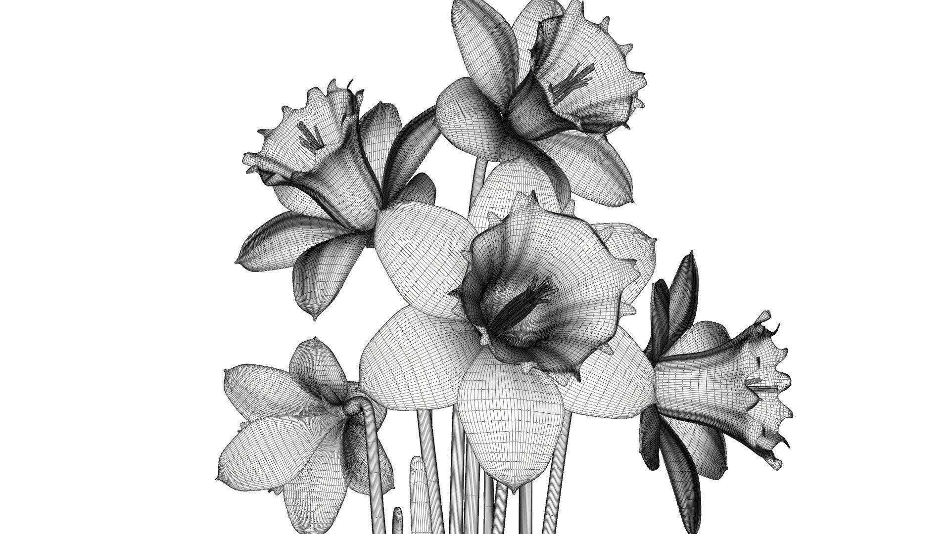 Daffodils in vase 3D model_13