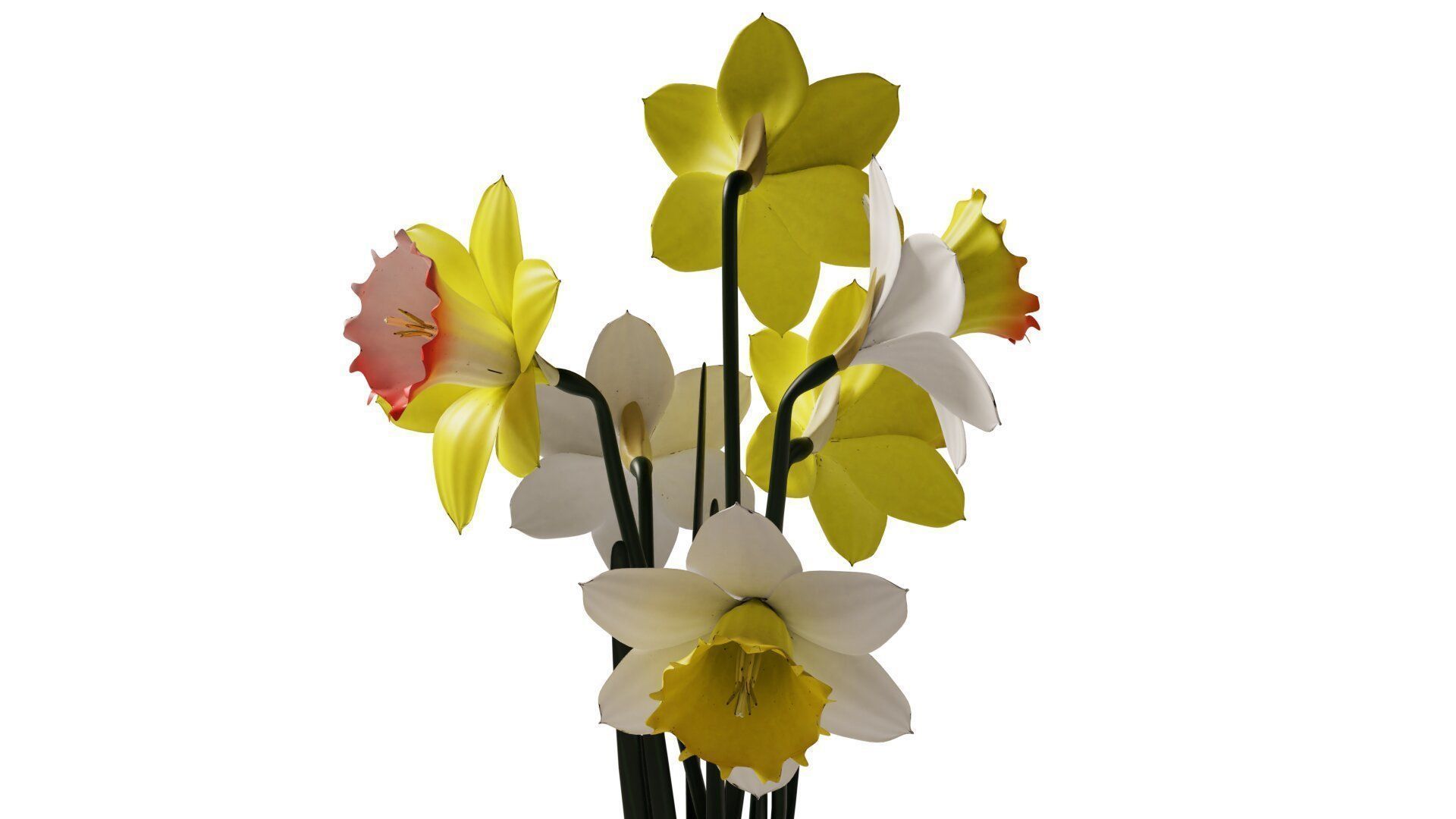 Daffodils in vase 3D model_4