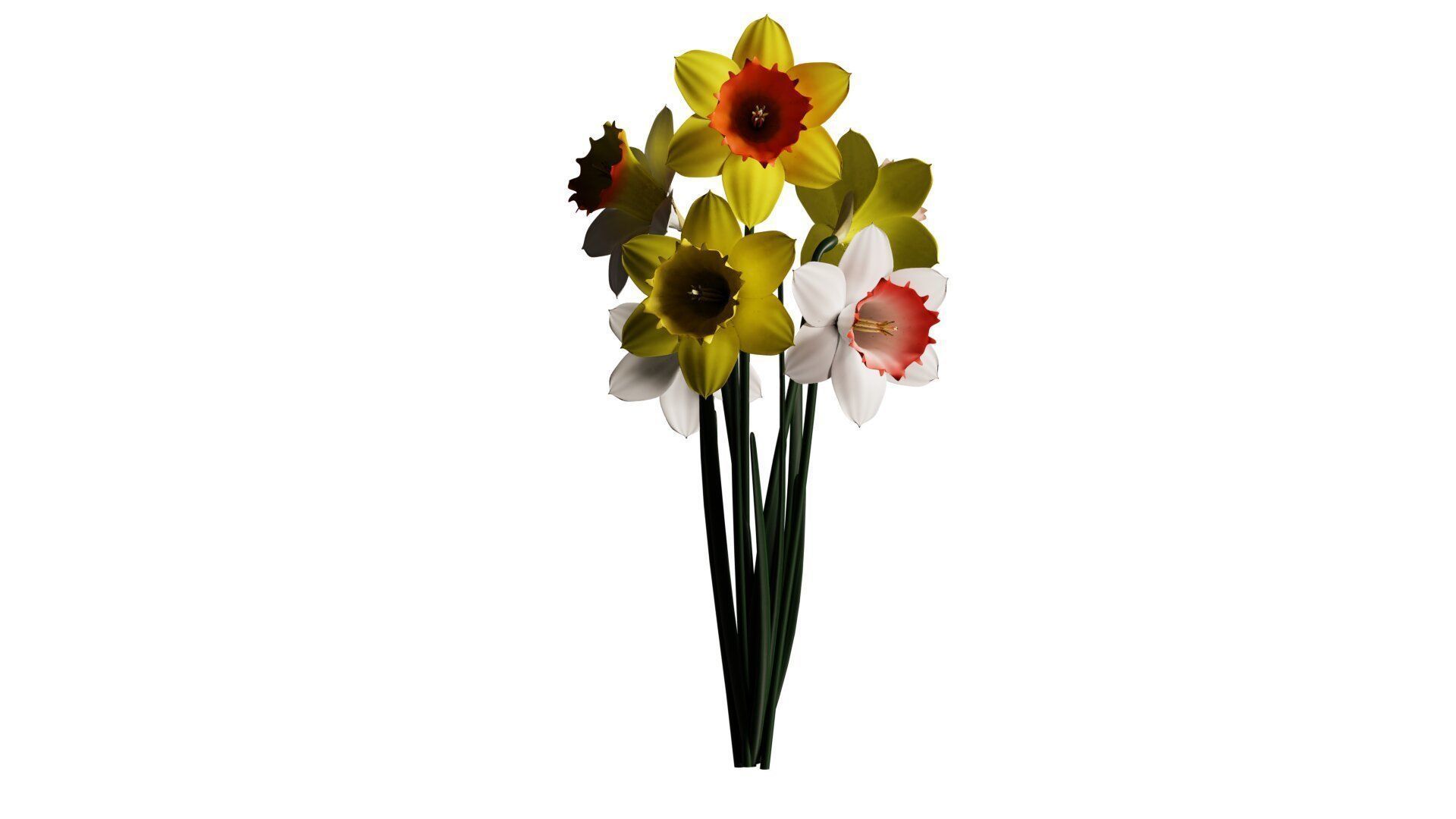 Daffodils in vase 3D model_10