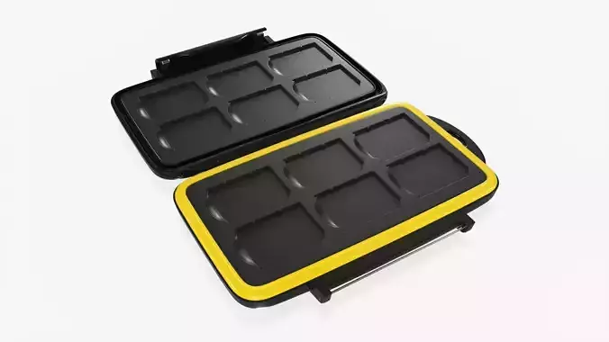 SD memory card carrying case