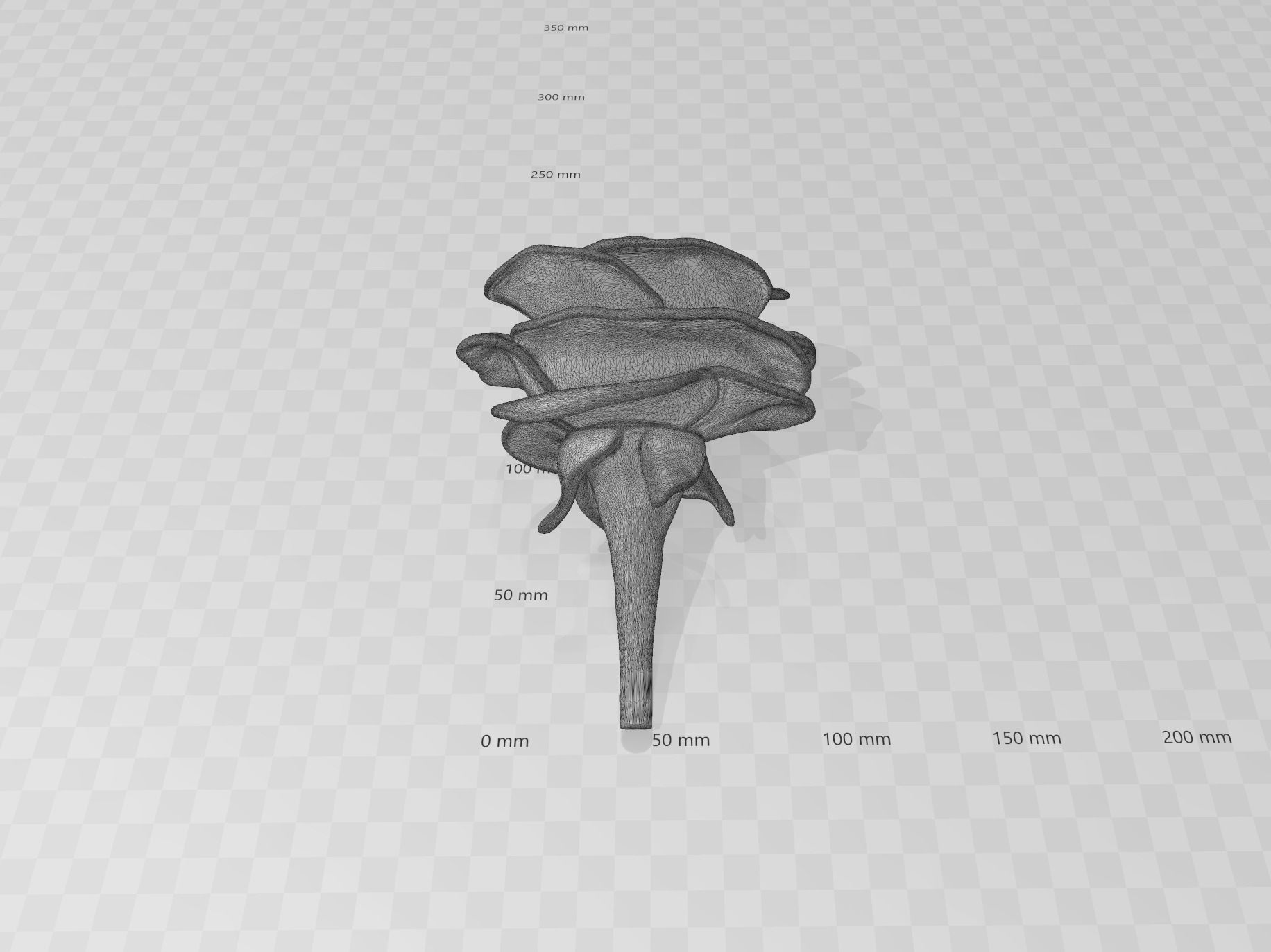 Rose Flower 3D print model_9