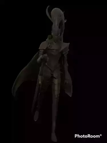 Igris 3D model from solo leveling 3D print model