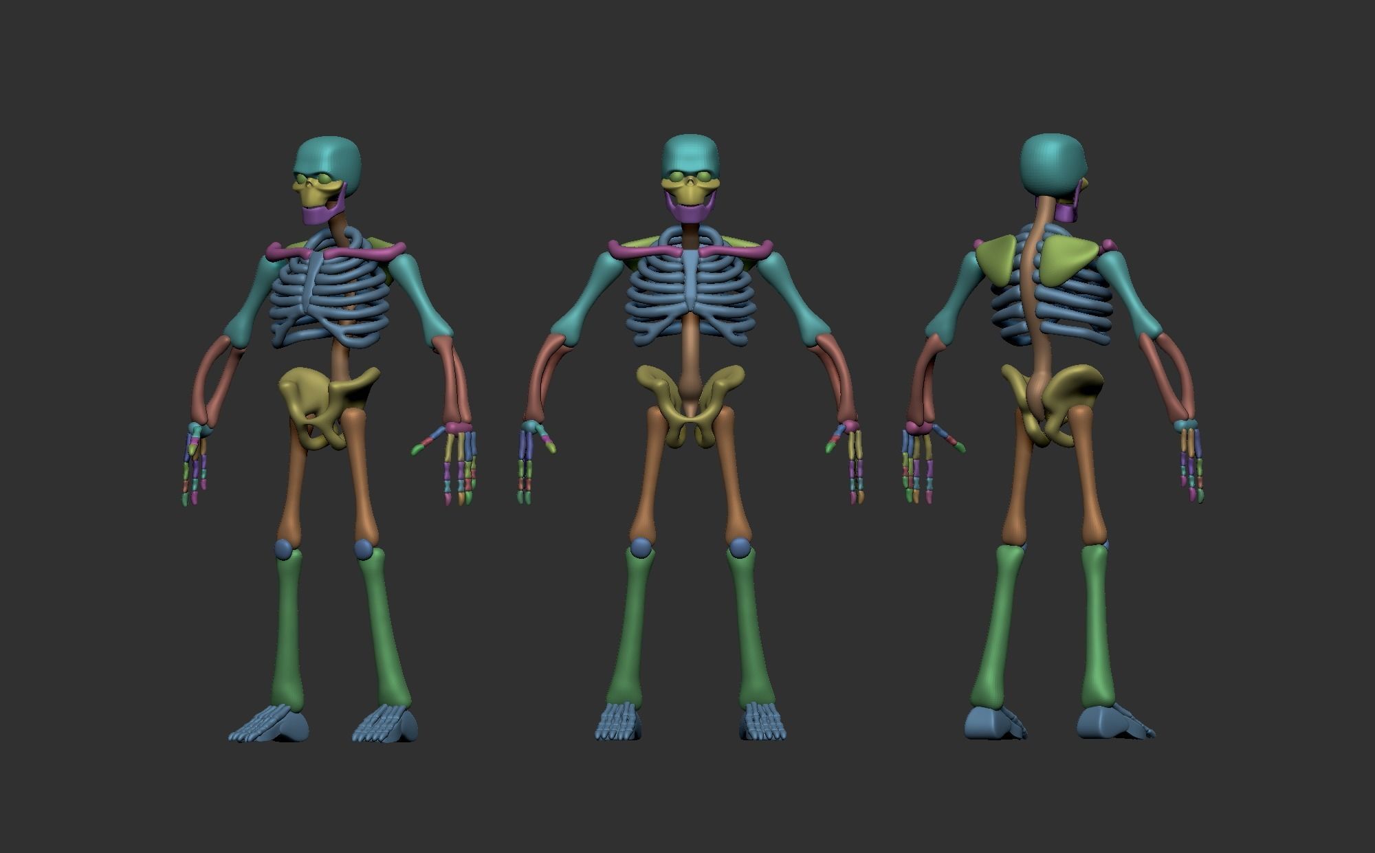Stylized Skeleton Basemesh Free 3D model_2