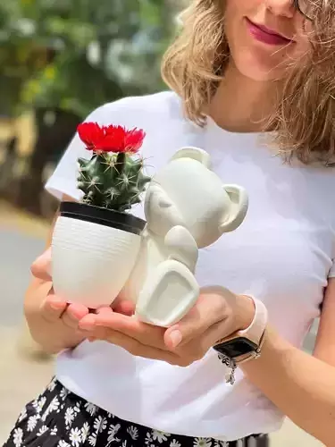 Teddy Bear valentine vase 3D print model