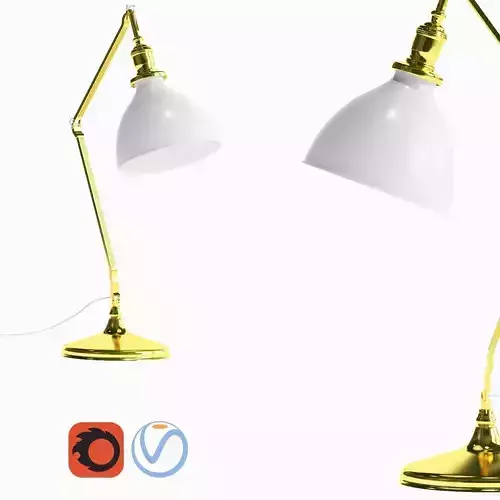 erfan-reading-light table lamp