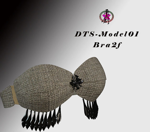 DTS-Model01-Bra2F bra with fringes Low-poly 3D model