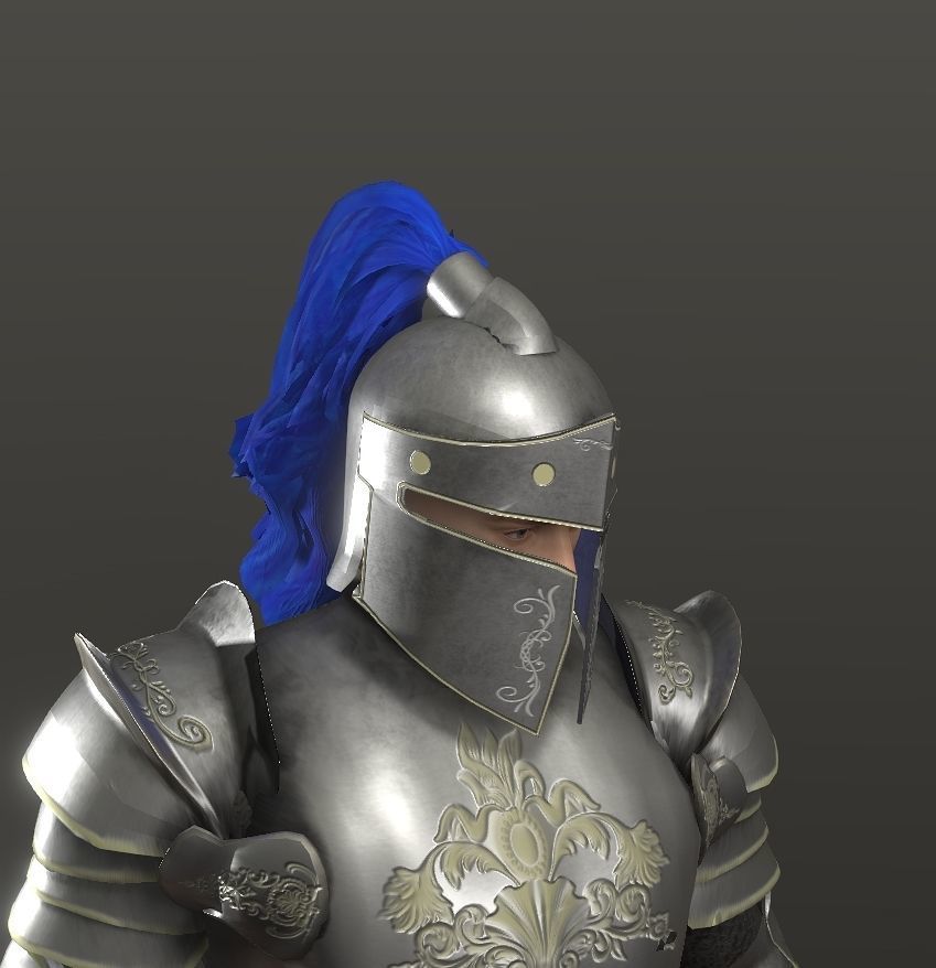 Special knight Low-poly 3D model_28