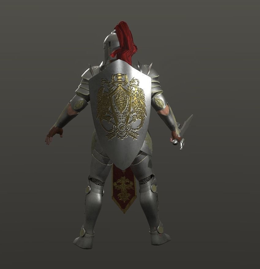 Special knight Low-poly 3D model_7