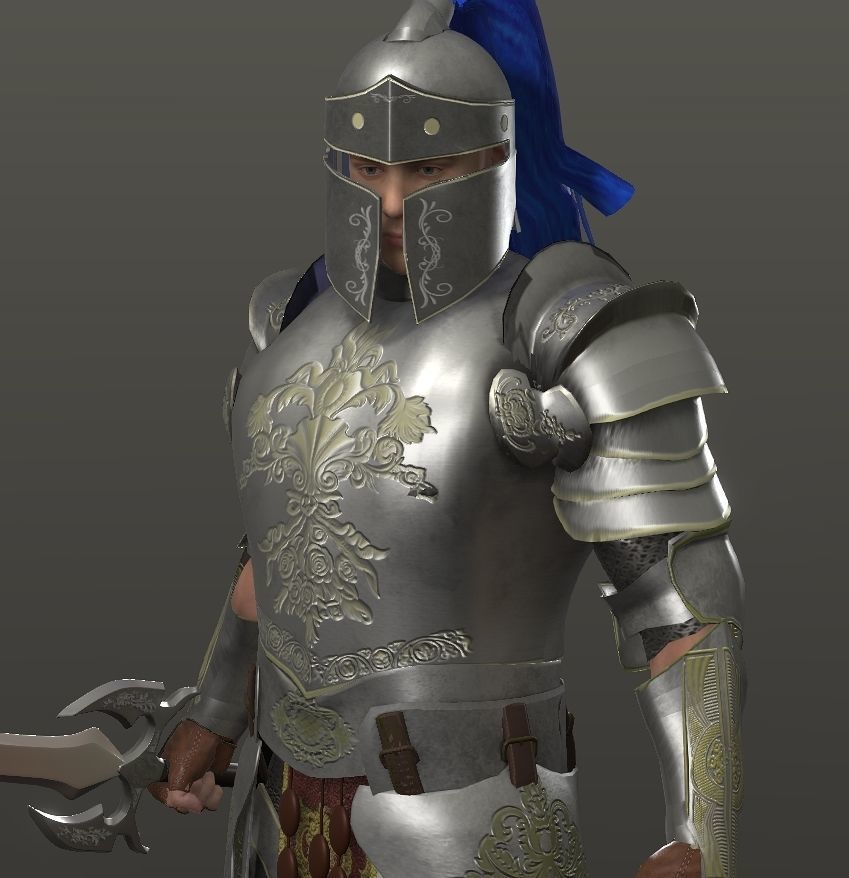 Special knight Low-poly 3D model_27