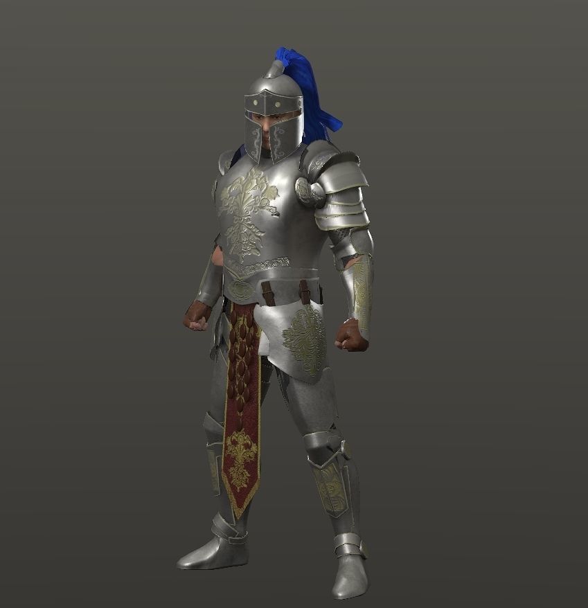 Special knight Low-poly 3D model_8