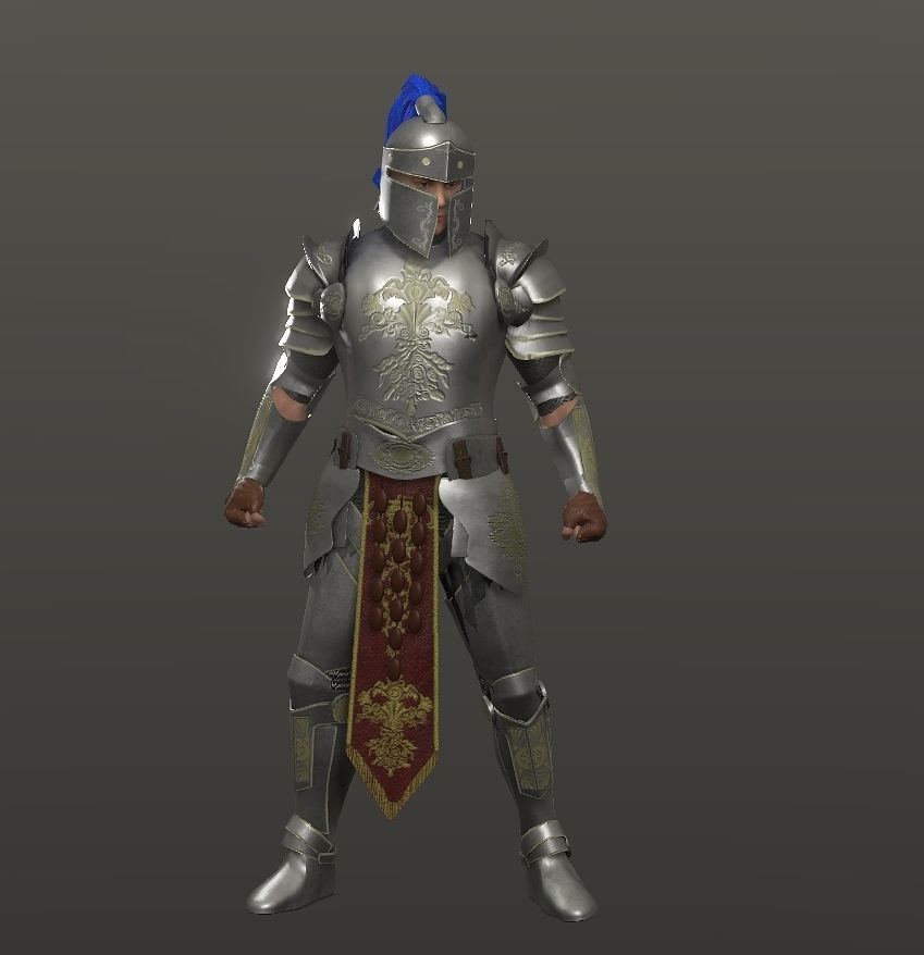 Special knight Low-poly 3D model_15