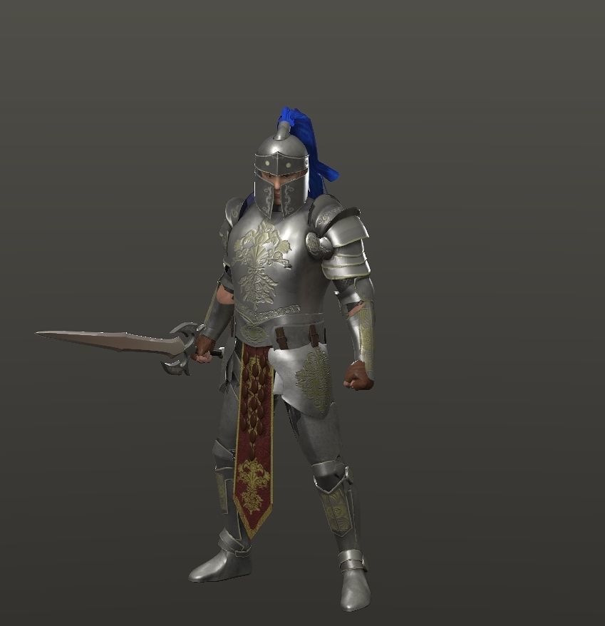 Special knight Low-poly 3D model_14
