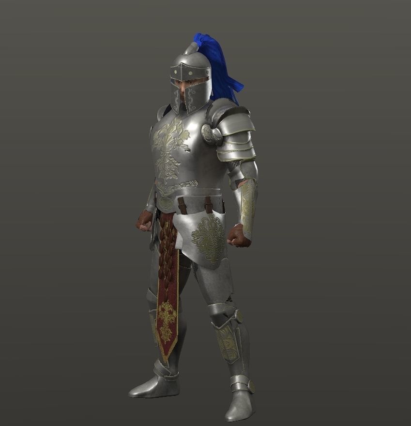 Special knight Low-poly 3D model_21