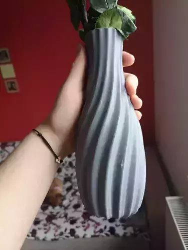 Vase 3D Printed