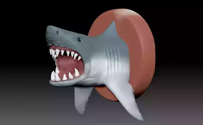 Shark 3D print model head