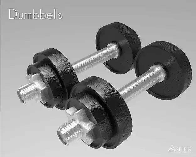 Dumbbell 3D model two dumbbells