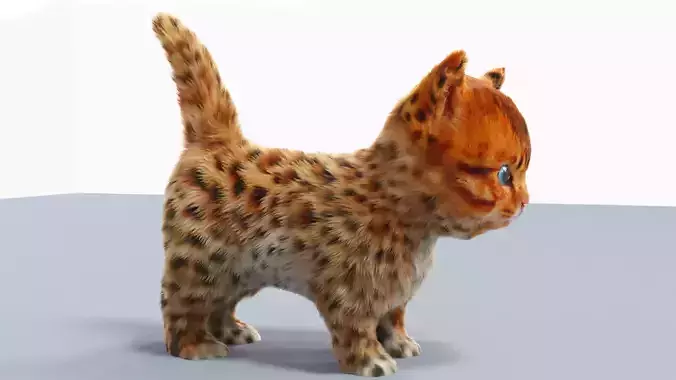 Fur Cute Cat kitten Jungle No Rig