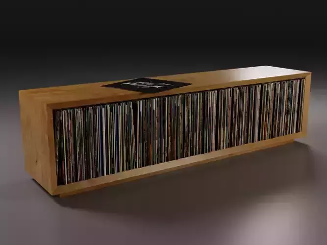 Vinyl Storage No8