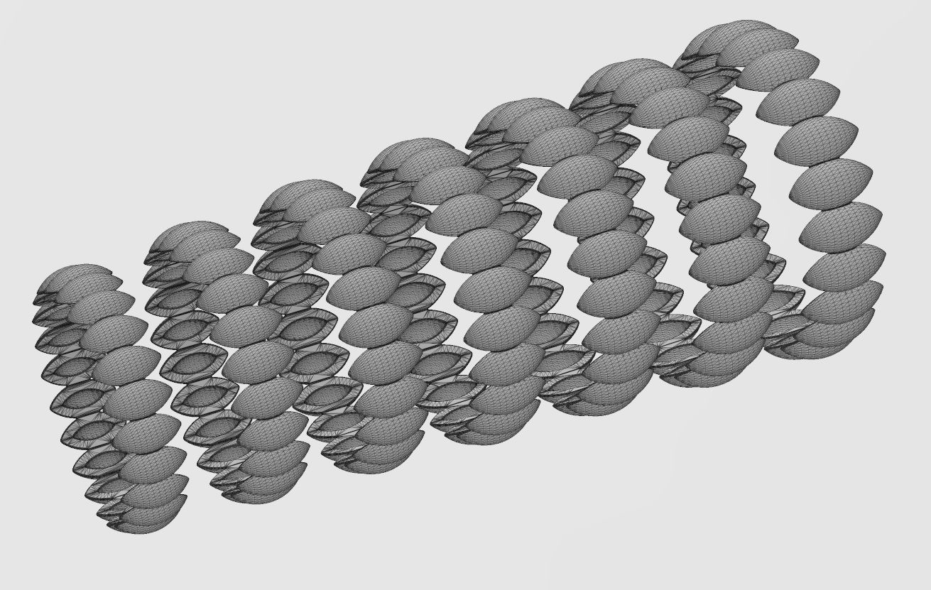 Seed shaped motif band size 5to11 3D print model_13