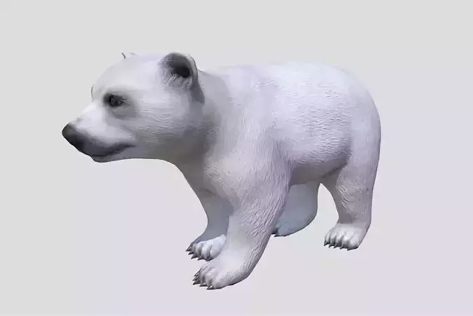 Polar Bear Cub Low-poly 3D model