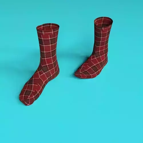 Pair Of Socks 