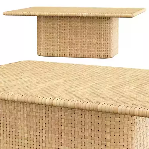 Monica rattan coffee table D2 