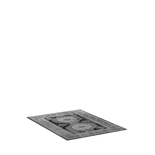 Area Rug