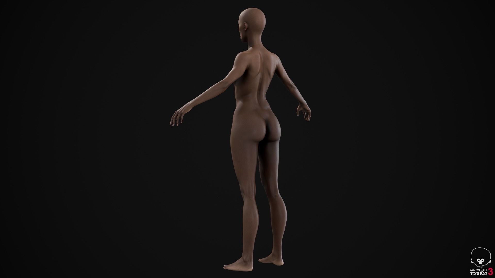 Women pack 3D Model Collection_14