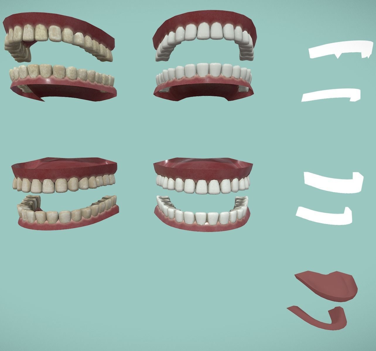 Realistic and Anime teeth - models Low-poly 3D model_1