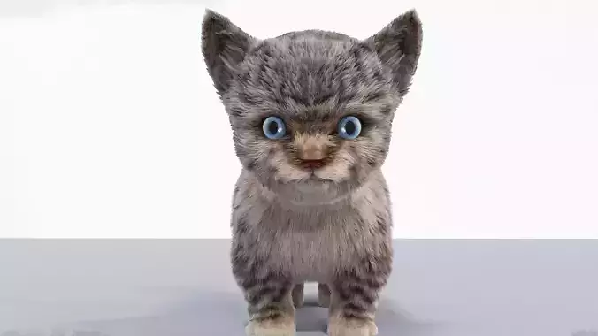 Fur Cute Cat kitten Gray No Rig