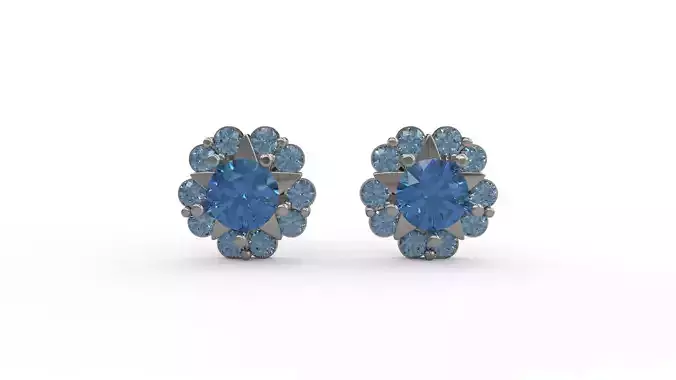 Earring 67