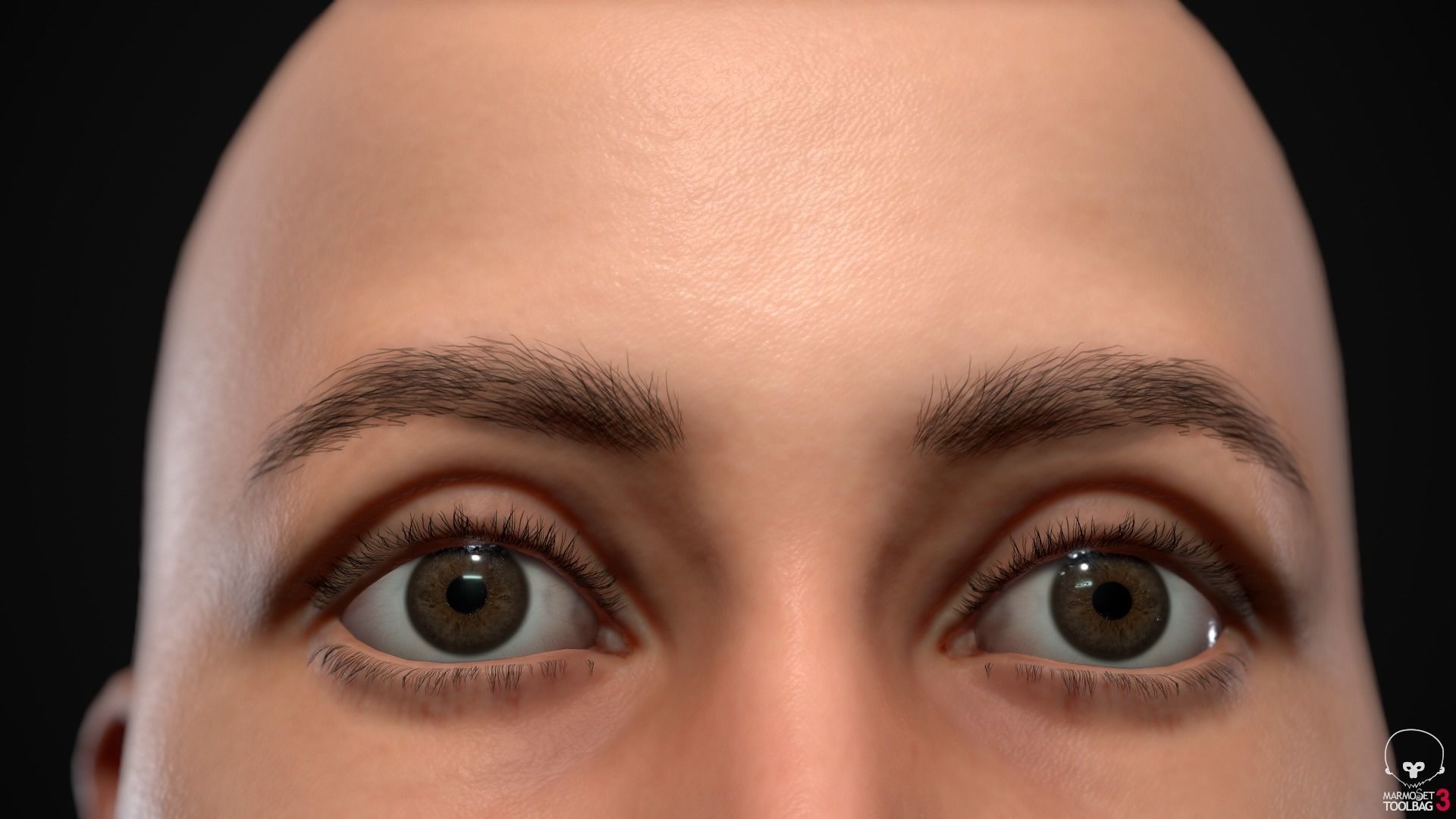 Women pack 3D Model Collection_74