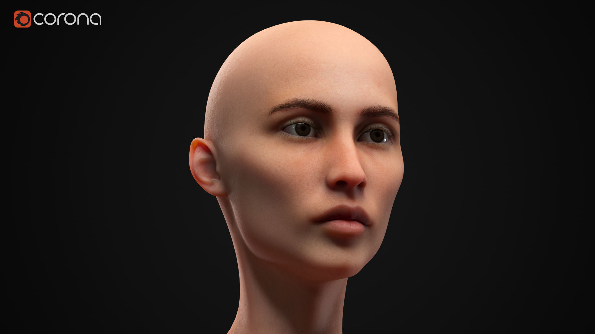 Women pack 3D Model Collection_4