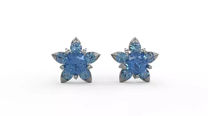 Star Earring 81