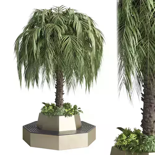 plant and plam interior exterior bench 02 Low-poly 3D model