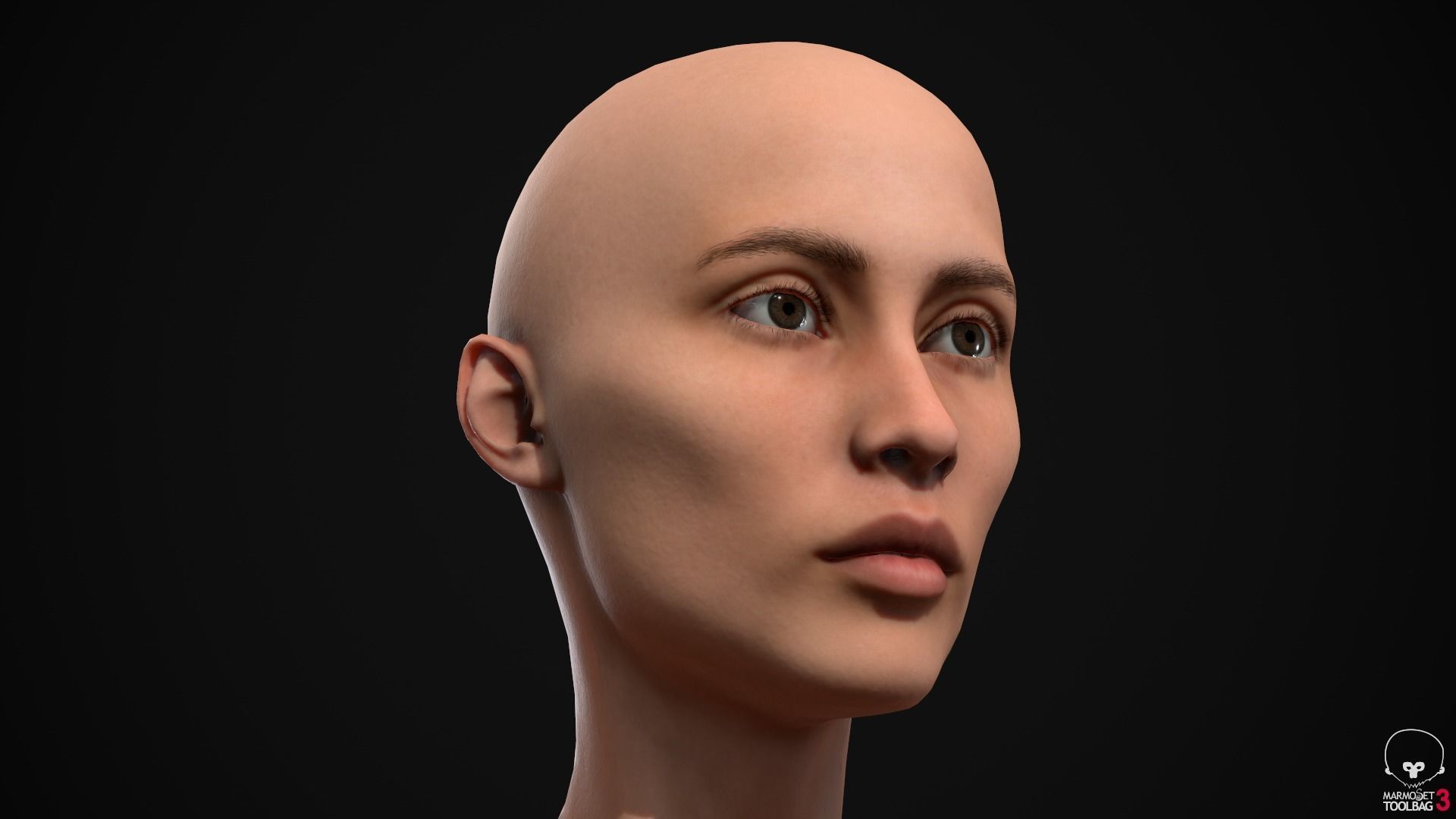 Big women pack 3D Model Collection_19