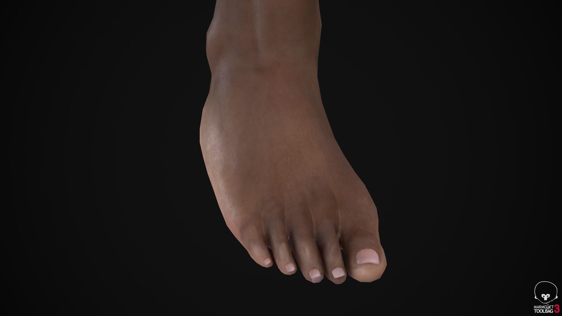 Big women pack 3D Model Collection_105