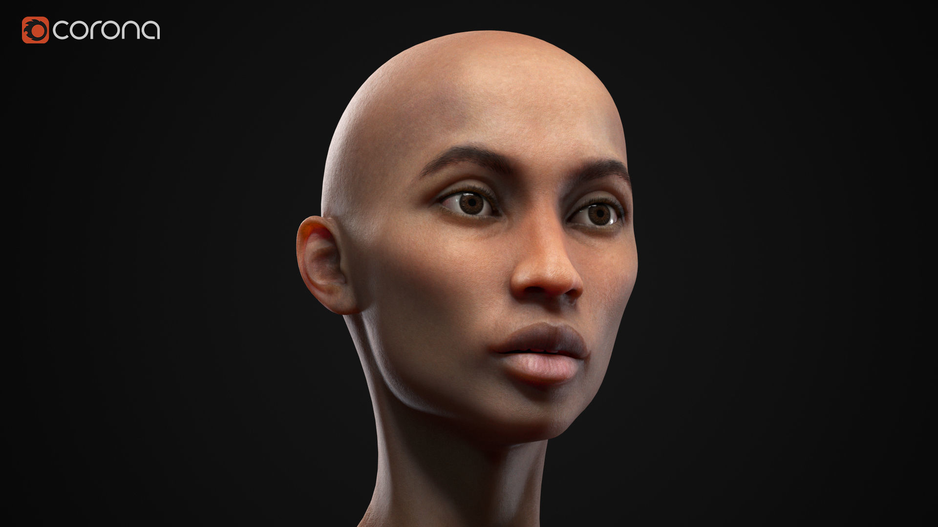 Big women pack 3D Model Collection_33