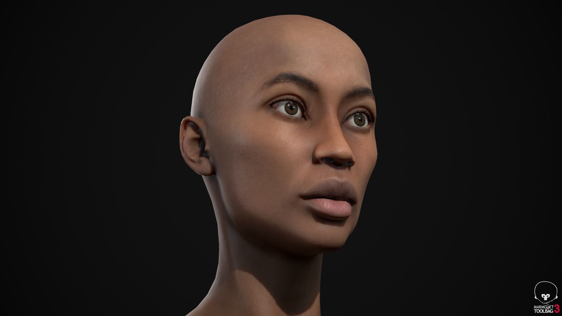 Big women pack 3D Model Collection_154