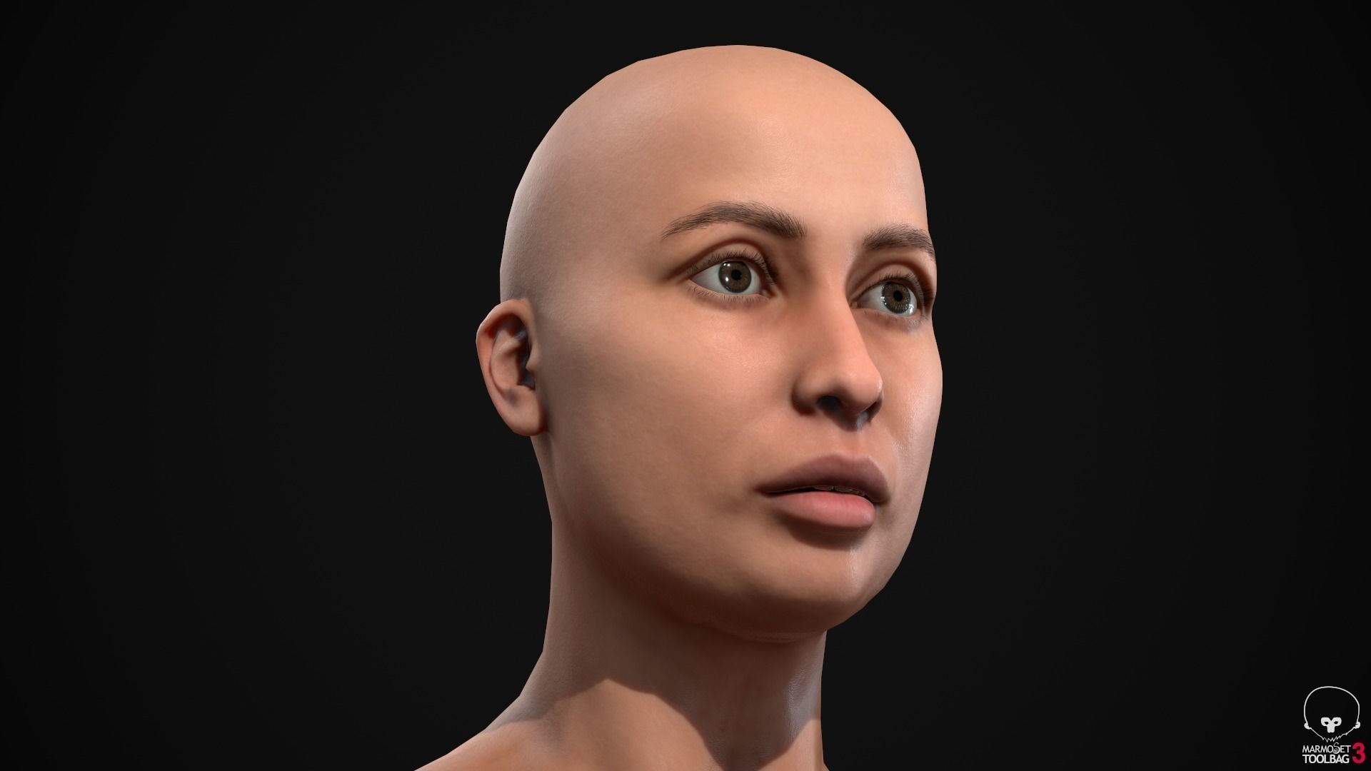 Big women pack 3D Model Collection_71